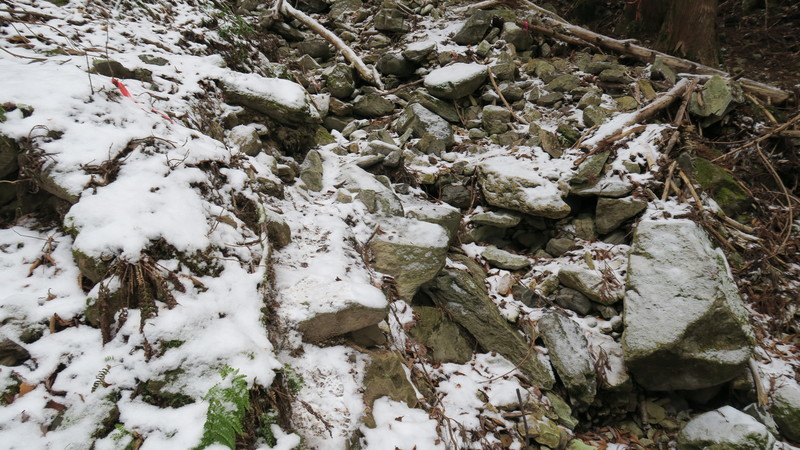 f:id:takemaru2018:20200209153842j:plain