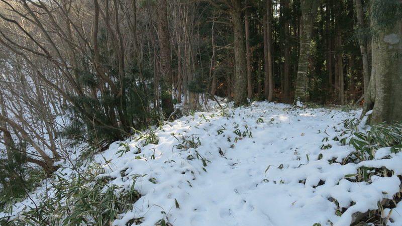 f:id:takemaru2018:20200209153901j:plain