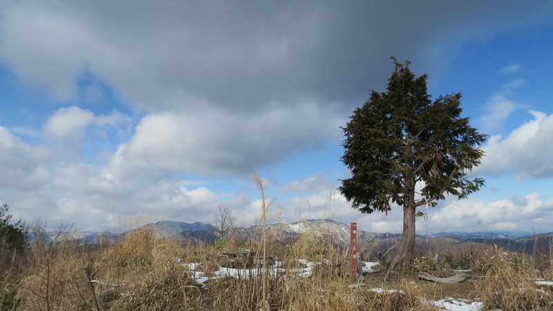 f:id:takemaru2018:20200209154041j:plain