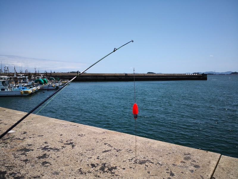 f:id:takemaru2018:20200602130435j:plain f:id:takemaru2018:20200602130435j:plain