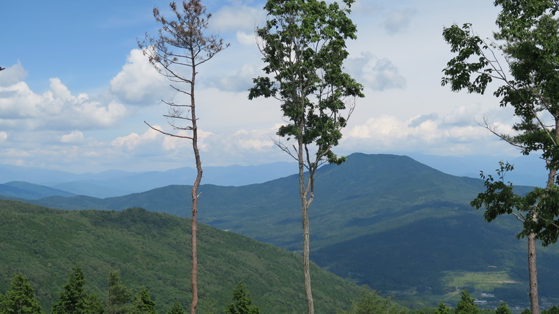 f:id:takemaru2018:20200621123915j:plain