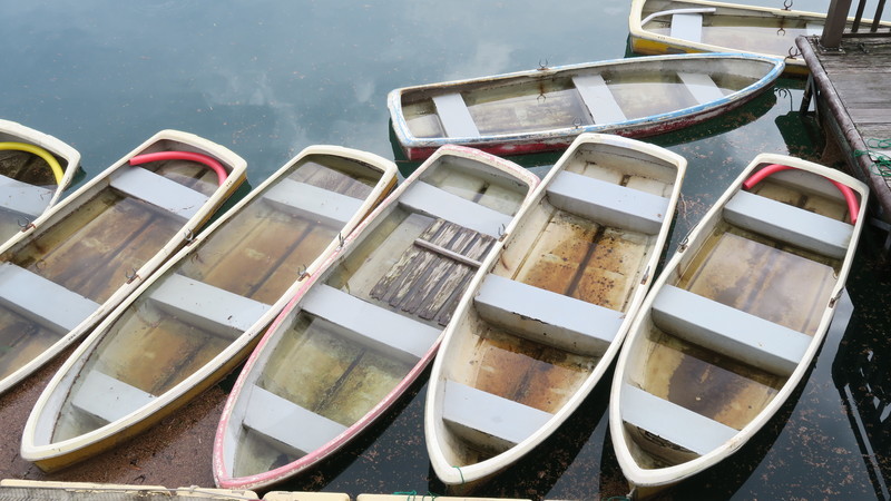 f:id:takemaru2018:20200714214546j:plain