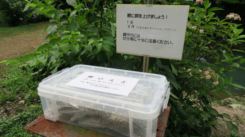 f:id:takemaru2018:20200714214957j:plain