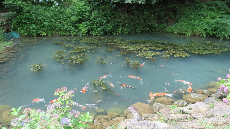 f:id:takemaru2018:20200714215105j:plain