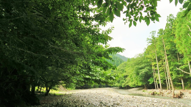 f:id:takemaru2018:20200826152325j:plain