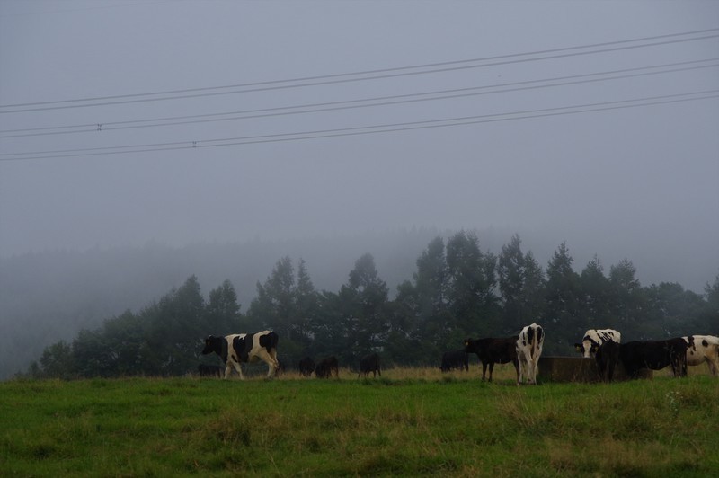 f:id:takemaru2018:20200921131821j:plain