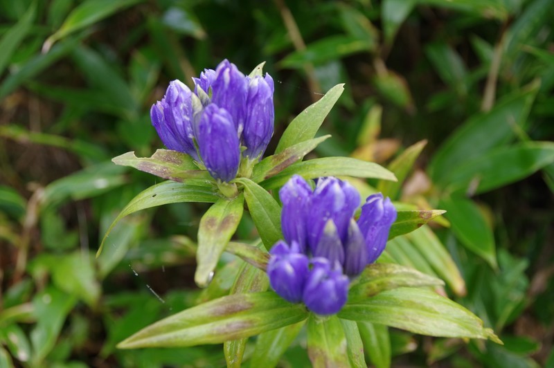 f:id:takemaru2018:20200921131834j:plain