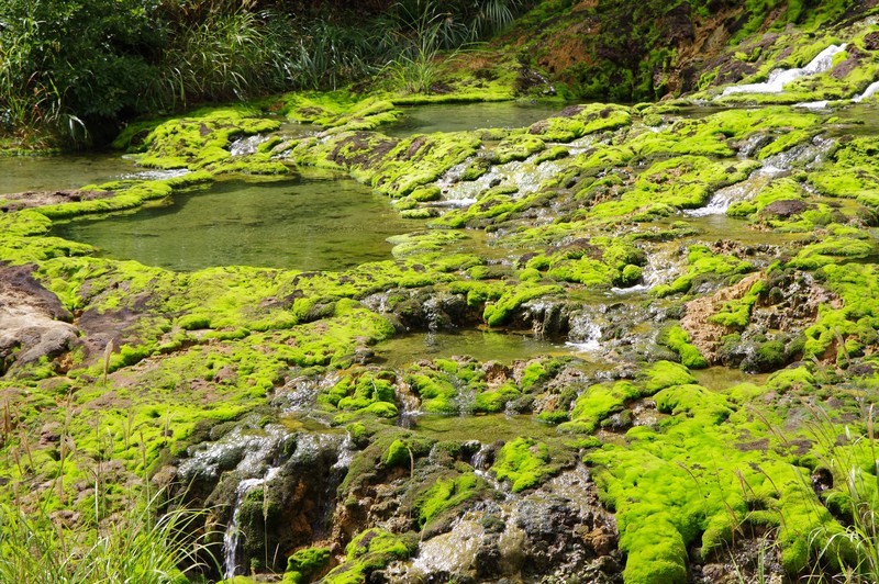 f:id:takemaru2018:20200921131907j:plain