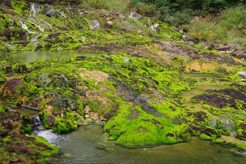 f:id:takemaru2018:20200921131916j:plain