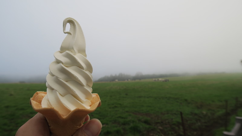 f:id:takemaru2018:20200921132630j:plain