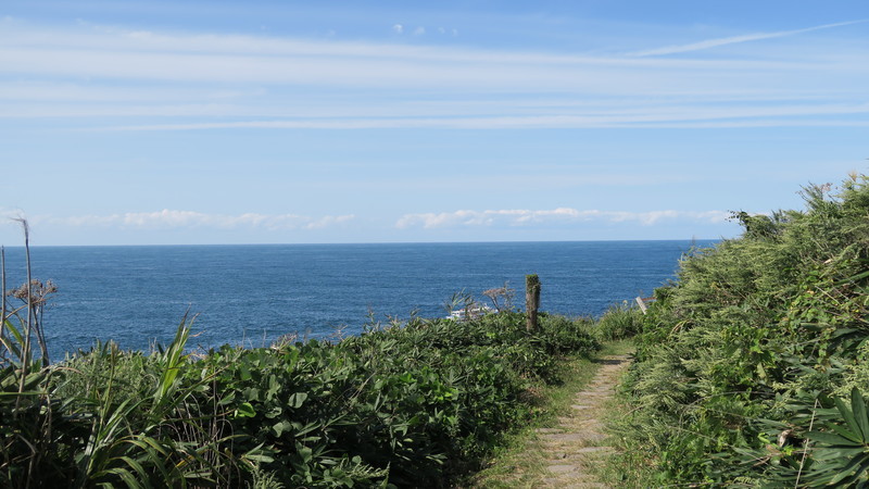 f:id:takemaru2018:20200930114345j:plain