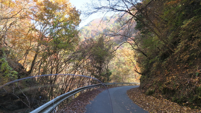 f:id:takemaru2018:20201115115227j:plain