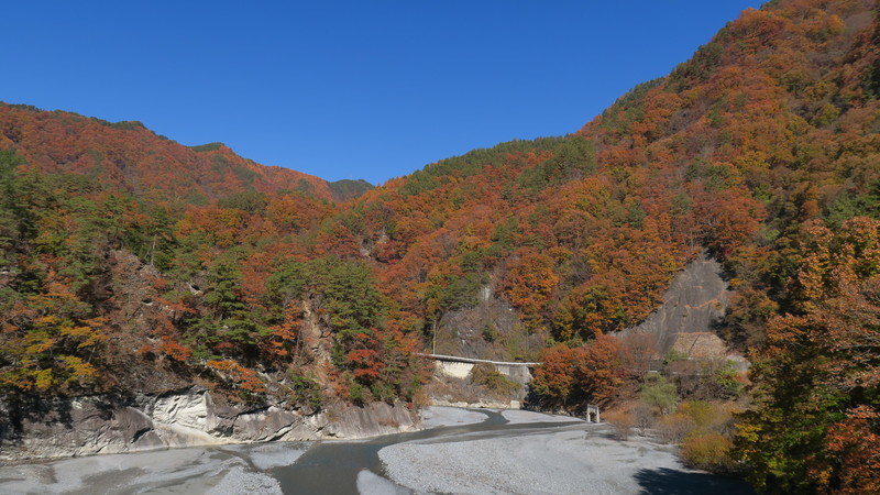 f:id:takemaru2018:20201115115246j:plain