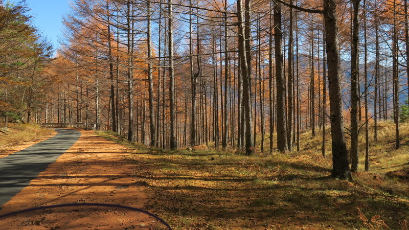 f:id:takemaru2018:20201115115626j:plain