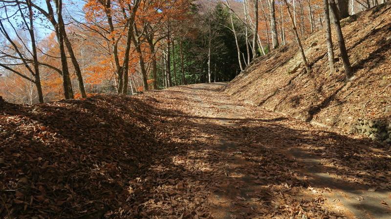 f:id:takemaru2018:20201115115657j:plain