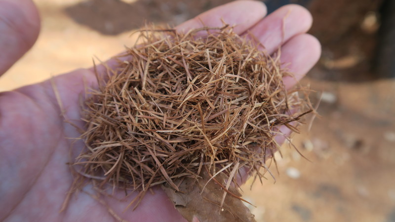 f:id:takemaru2018:20201115115715j:plain