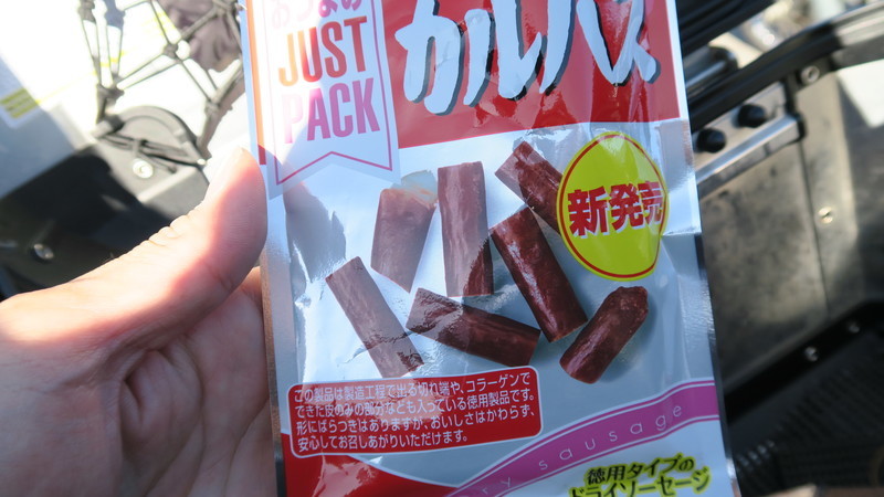 f:id:takemaru2018:20201115115906j:plain