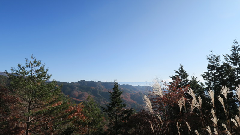 f:id:takemaru2018:20201115120301j:plain