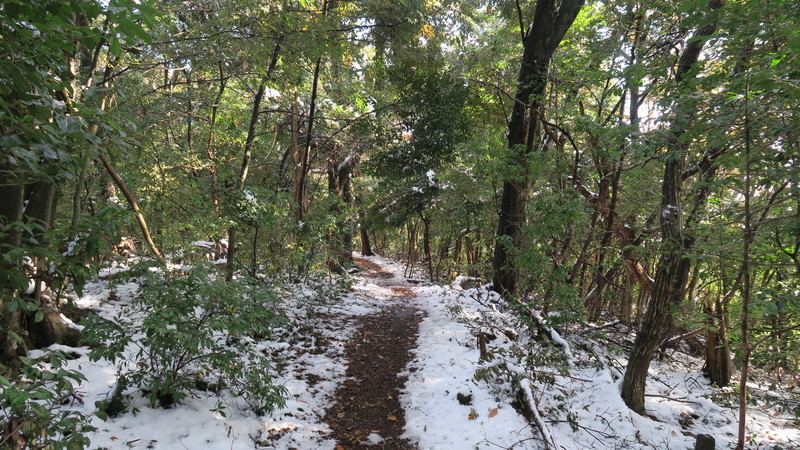 f:id:takemaru2018:20201219112458j:plain