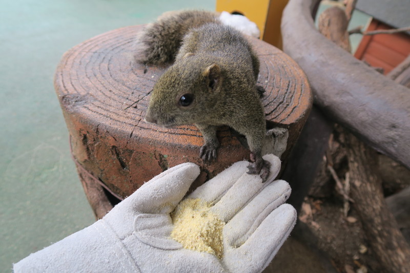 f:id:takemaru2018:20201219112702j:plain