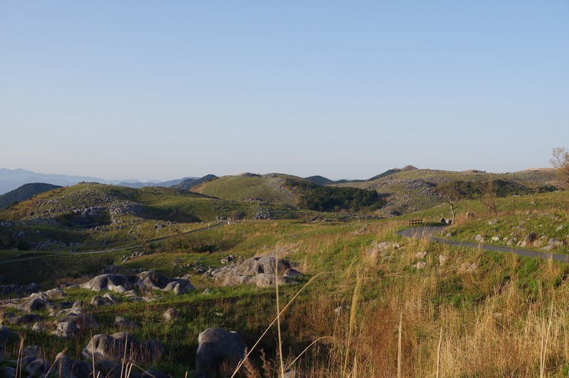 f:id:takemaru2018:20210417085530j:plain