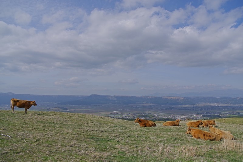 f:id:takemaru2018:20210418132533j:plain