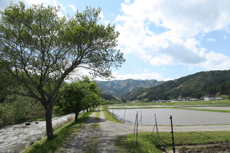 f:id:takemaru2018:20210504090153j:plain