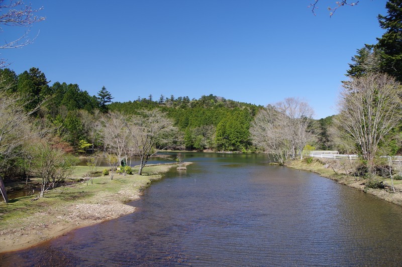 f:id:takemaru2018:20210504090550j:plain