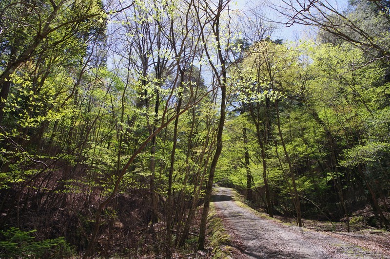 f:id:takemaru2018:20210504090600j:plain