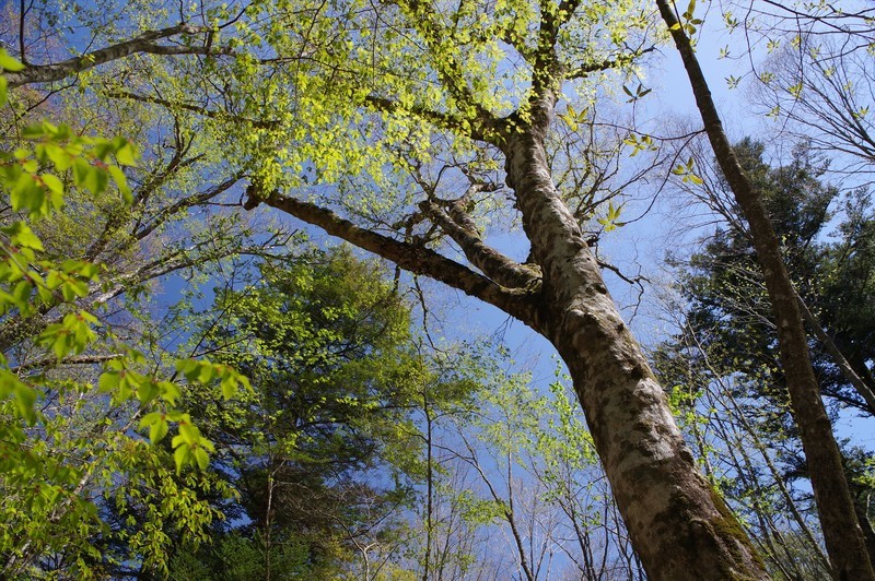 f:id:takemaru2018:20210504090610j:plain