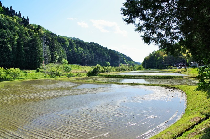 f:id:takemaru2018:20210504090710j:plain