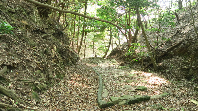 f:id:takemaru2018:20210626224345j:plain