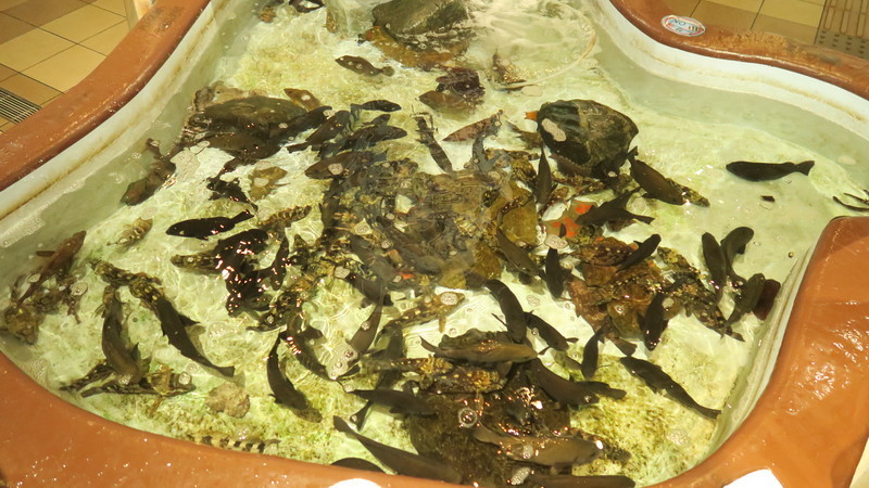 f:id:takemaru2018:20210626224508j:plain