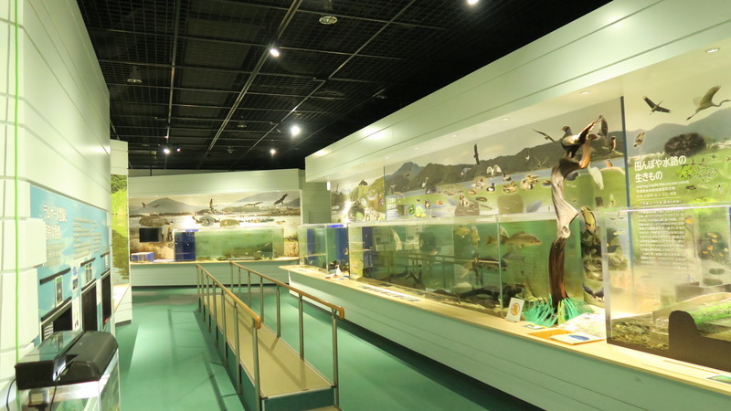 f:id:takemaru2018:20210626224537j:plain