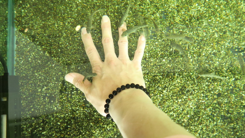 f:id:takemaru2018:20210626224625j:plain