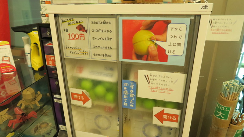 f:id:takemaru2018:20210626224733j:plain