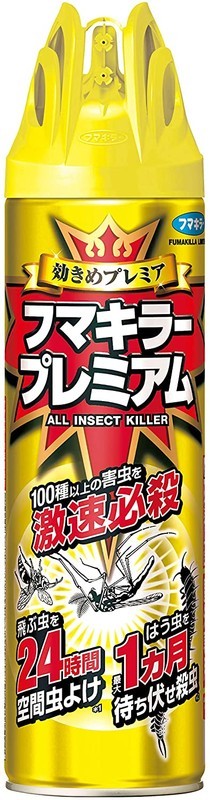 f:id:takemaru2018:20210821152857j:plain