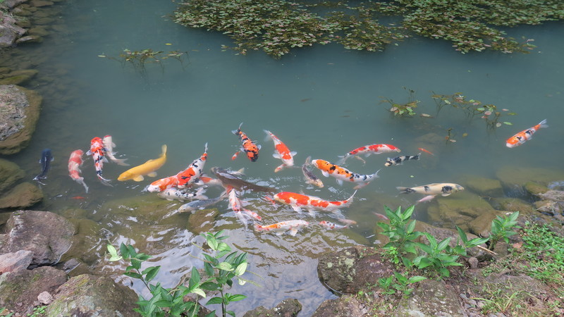 f:id:takemaru2018:20210830192100j:plain