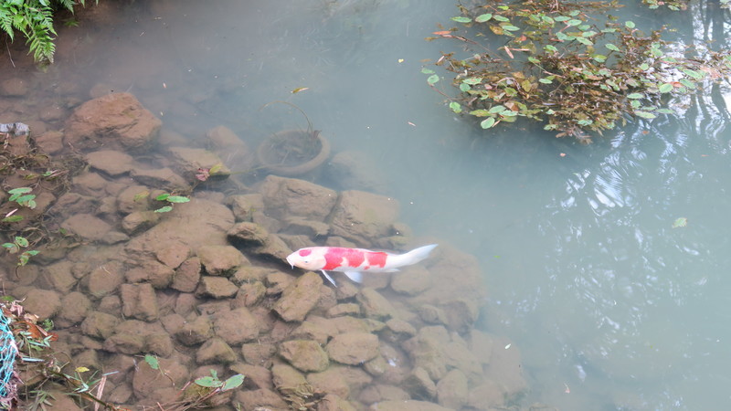 f:id:takemaru2018:20210830192117j:plain