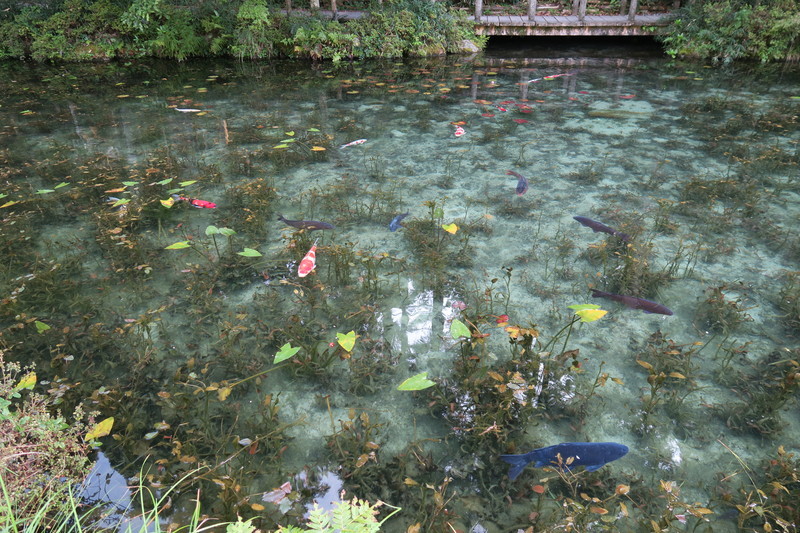 f:id:takemaru2018:20210830192218j:plain