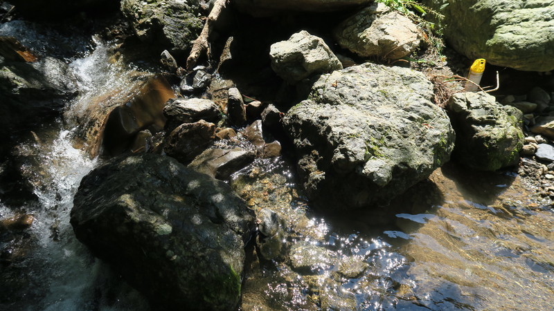 f:id:takemaru2018:20210830192501j:plain