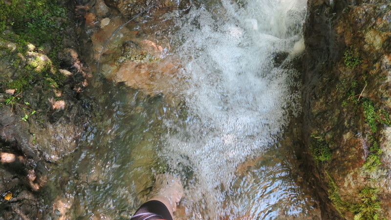 f:id:takemaru2018:20210830192518j:plain