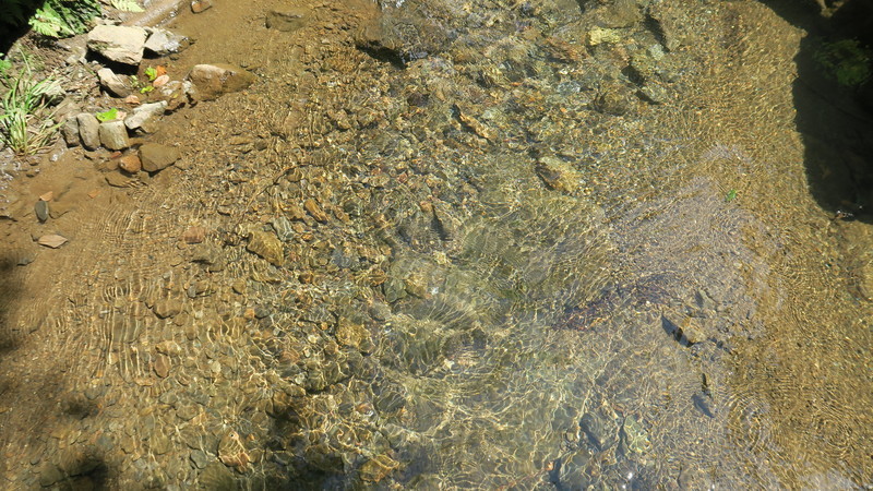 f:id:takemaru2018:20210830192532j:plain