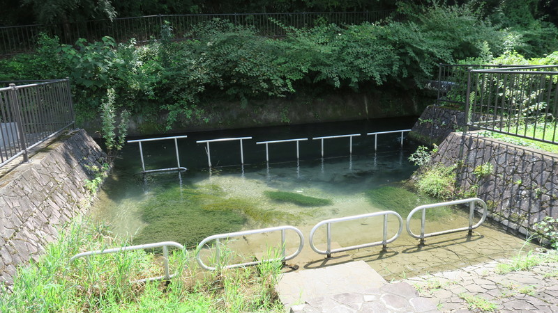 f:id:takemaru2018:20210830192548j:plain