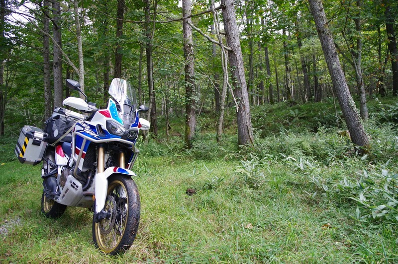 f:id:takemaru2018:20210928102044j:plain