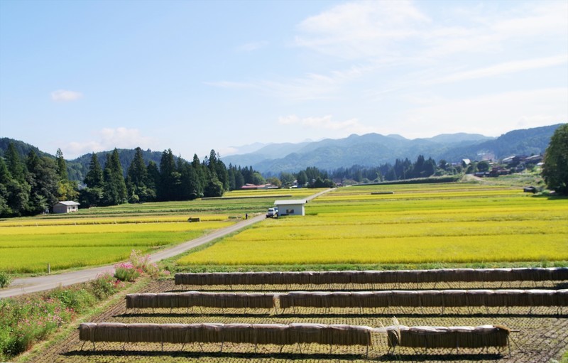 f:id:takemaru2018:20210928102131j:plain