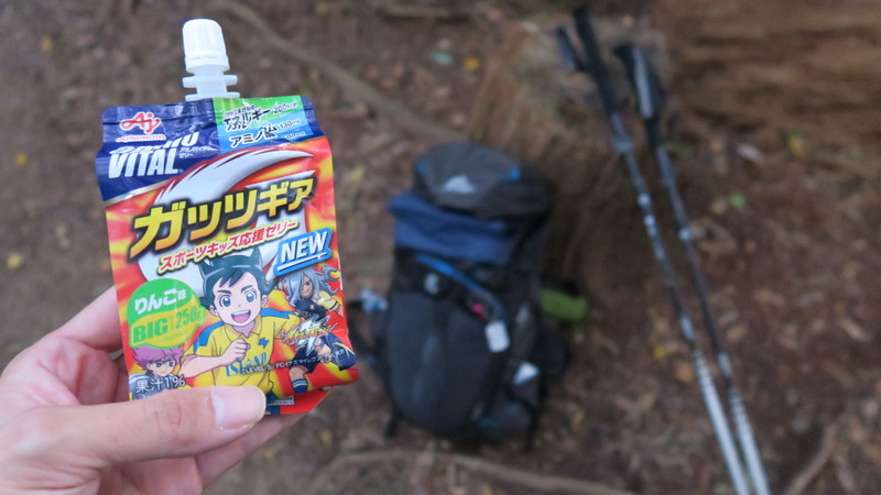 f:id:takemaru2018:20211004225507j:plain