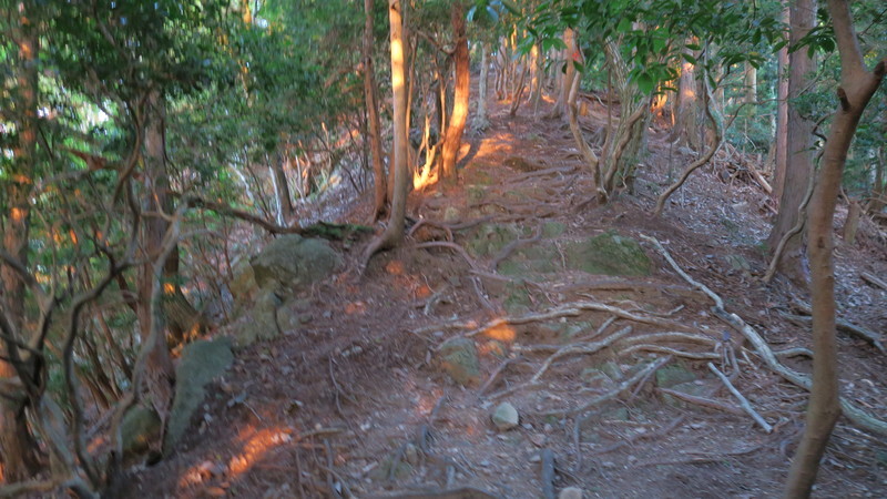 f:id:takemaru2018:20211004225517j:plain