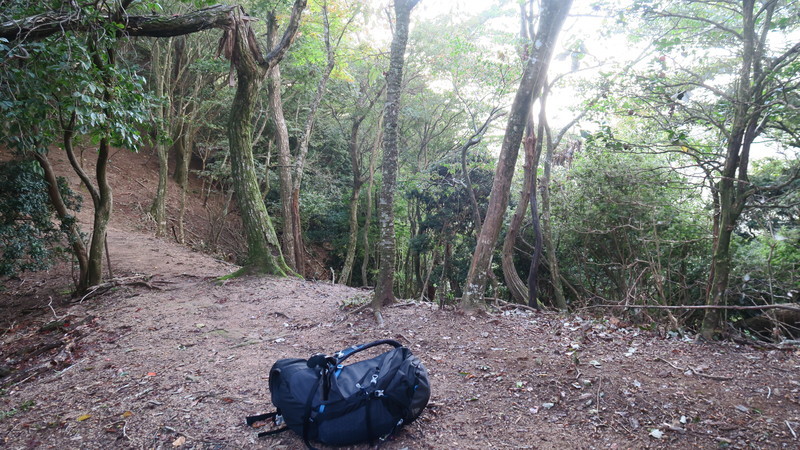 f:id:takemaru2018:20211004225539j:plain