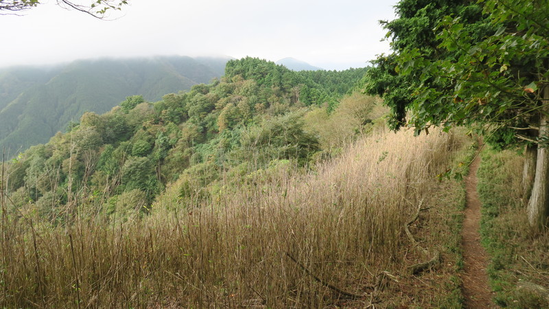 f:id:takemaru2018:20211004225718j:plain